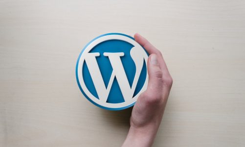 Dove trovare temi per WordPress in Italia?